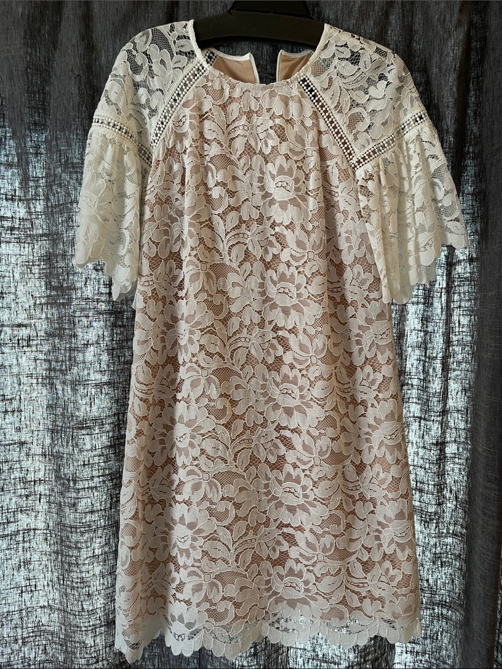 Vince Camuto Cream Lace Shift Dress with Flutter Sleeves